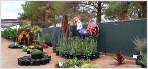 Shade Panels and Metal Dinosaurs at Desert Horizon Nursery